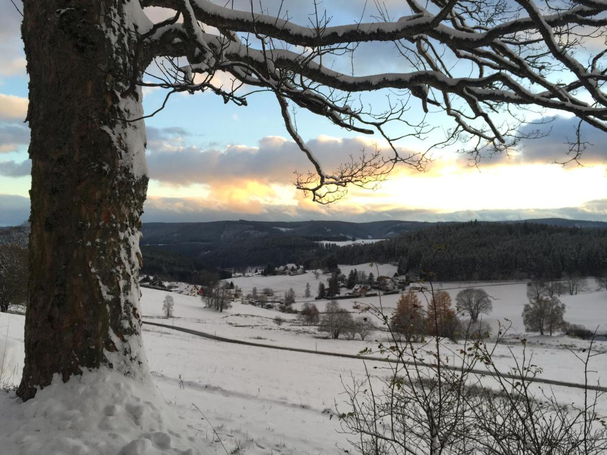 Fewo Fuchs Saig Lenzkirch Extérieur photo