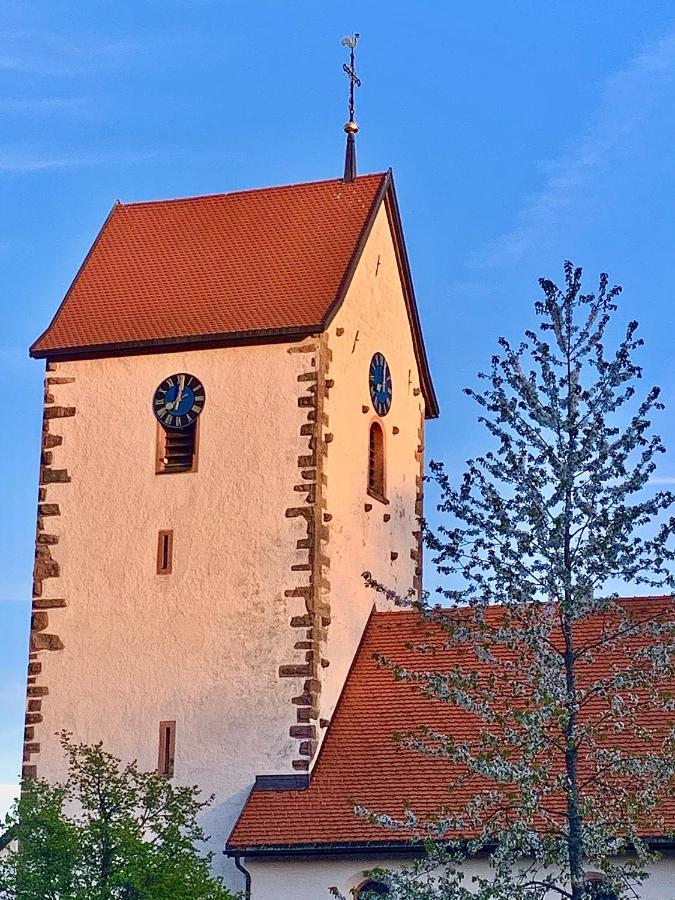 Fewo Fuchs Saig Lenzkirch Extérieur photo